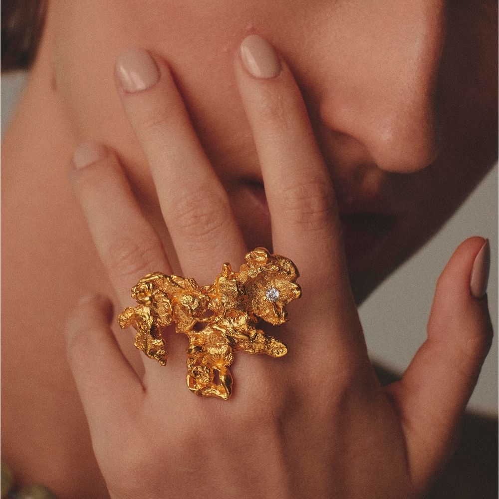 Anillo Cauce